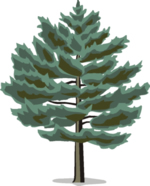 Tree Clip Art 55